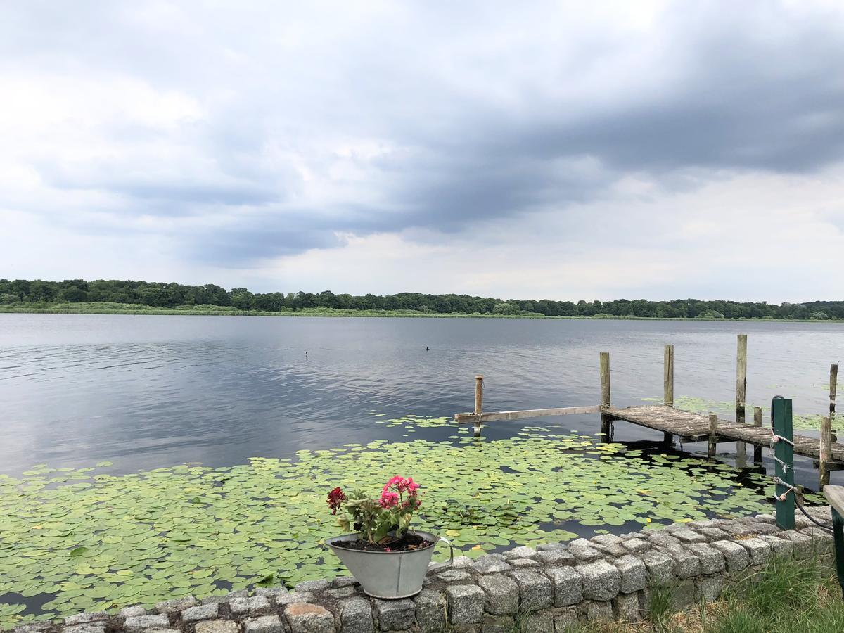 Ferienwohnung Auf Der Insel Werder  Exteriér fotografie